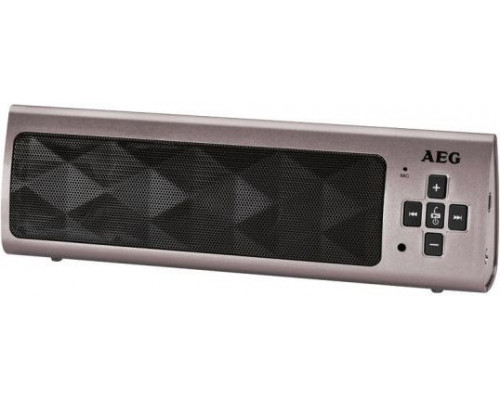 AEG BSS 4818 speaker