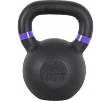 inSPORTline Powder cast iron 20 kg
