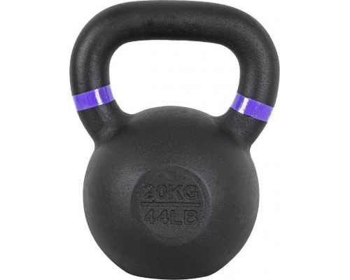 inSPORTline Powder cast iron 20 kg