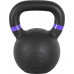 inSPORTline Powder cast iron 20 kg