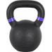 inSPORTline Powder cast iron 20 kg