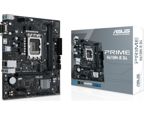 Intel H610 Asus PRIME H610M-R D4