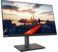 Lenovo ThinkVision P24h-30 (63B3GAT6EU)