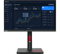 Lenovo ThinkVision T22i-30 (63B0MAT6EU)