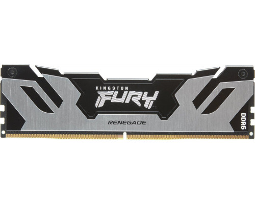 Kingston Fury Renegade, DDR5, 48 GB, 6000MHz, CL32 (KF560C32RS-48)