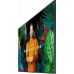 Samsung QH75C (LH75QHCEBGCXEN)