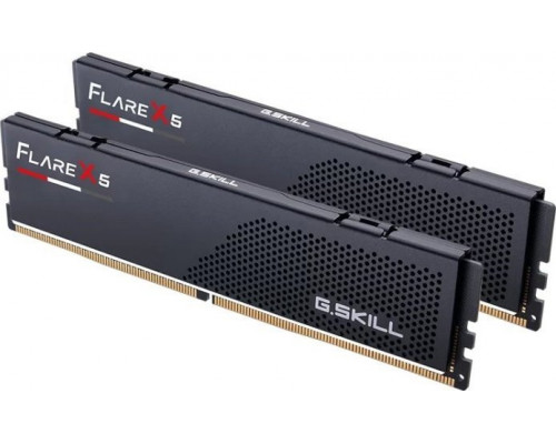 G.Skill Flare X5, DDR5, 48 GB, 5600MHz, CL40 (F5-5600J4040D24GX2-FX5)