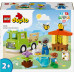 LEGO Duplo Opieka nad pszczołami i ulami (10419)