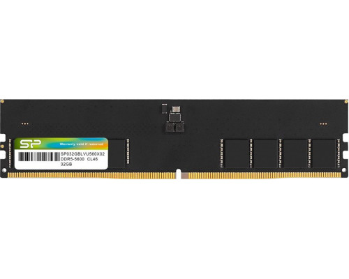 Silicon Power DDR5, 32 GB, 4800MHz, CL40 (SP032GBLVU480F02)