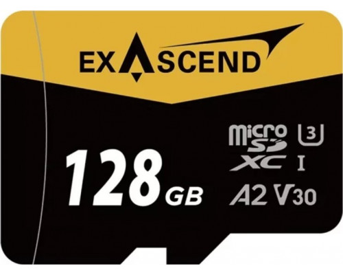 SD  ExAscend Catalyst MicroSDXC 128 GB UHS-I/U3 A2 V30 (EX128GUSDU1-AD)