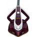 Tefal Pro Express Vision GV9810