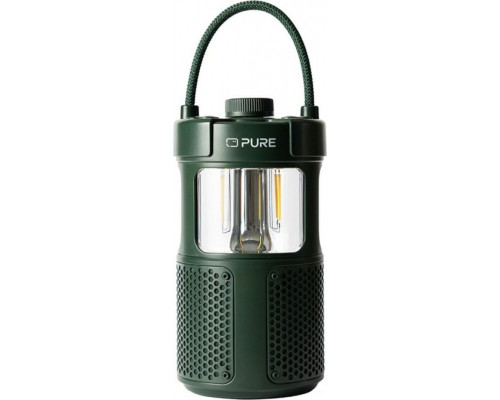 Radio Pure Pure Woodland Glow green