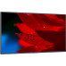 NEC NEC MultiSync MA431 - 108 cm (43") Diagonalklasse MA Series LCD-Display mit LED-Hintergrundbeleuchtung - Digital Signage - 4K UHD (2160p) 3840 x 2160 - HDR - Edge-Beleuchtung - Schwarz