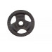 Toorx Svari stieņiem TOORX DGN-TG10 D50mm 10kg