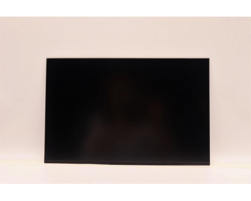 Lenovo DISPLAY AUO 14.0 WUXGA AG