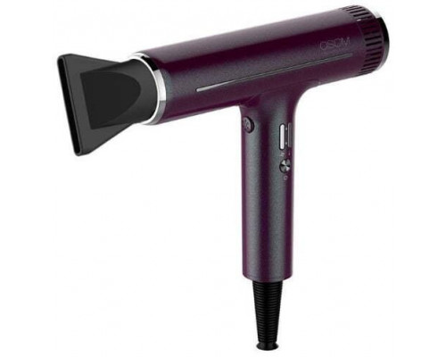 BaByliss OSOM Professional plaukų džiovintuvas, ilgaamžis BLDC variklis su jonais, 1800 W