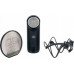 Aston Microphones Element Bundle pojemnościowy + uchwyt + pop filtr