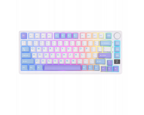 Royal Kludge RK M75 - US išdėstymas - Sidabrinis Switches - Taro Milk (Balta) Belaidė Žaidimų Klaviatūra