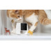 Petcube Cam | Pet monitoring camera | WiFi, 1080p