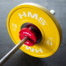 TSN100 DISKS SPĒKA TRENIŅU UN FITNESS APRĪKOJUNAM 2 x 1 KG HMS