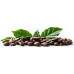 SkimaCoffee 1kg BRAZILIA PARANA BLEND Świeżo Palona do ekspresu