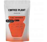 Coffee Plant Flow Coffeedesk Filter 100 g