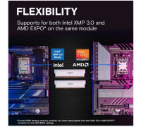 MEMORY DIMM 64GB DDR5-6400 K2/PRO OC CP2K32G64C40U5W CRUCIAL