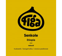 Figa Coffee - Etiopia Senkole Natural Filter 250g