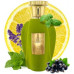 EMIR Voux Zingy EDP spray 100ml