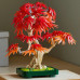Botanicals Klon palmowy bonsai (10348)