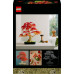 Botanicals Klon palmowy bonsai (10348)