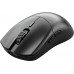 Glorious Series 2 PRO Wireless Gaming Maus - schwarz