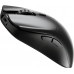 Glorious Series 2 PRO Wireless Gaming Maus - schwarz