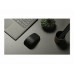 MS Surface Arc Mouse SC Bluetooth BG/YX/RO/SL Black CEE 1 License