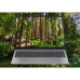 HP OmniBook 5 LaptopAI 16-af1216nw - Ultra 7 255U | 16"-2K-OLED | 16GB | 512GB | Win11Home | Srebro lodowcowe