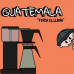 Runty Roaster - kawa ziarnista Gwatemala El Llano Washed Filter 250 g