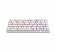 ALU81A Terra Nostra White, G3MS Moonstone Switch, RU