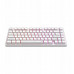 ALU81A Terra Nostra White, G3MS Moonstone Switch, RU