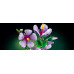 LEGO Botanicals Hibiskus (10372)
