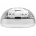 JBL Tune Flex 2 Ghost Edition white (JBLTFLEX2GWHT)