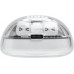 JBL Tune Flex 2 Ghost Edition white (JBLTFLEX2GWHT)