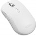Lenovo Accessories Yoga Bluetooth Silent Mouse (Seashell)