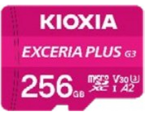 SD  Kioxia EXCERIA G3 256 GB MicroSDXC UHS-I Klasa 10