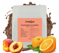 Instytut Kawy Gwatemala La Cumbre Filtr 250g