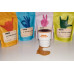 HAYB Zestaw do parzenia kawy 4x250g