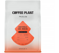 Story Coffee Roasters COFFEE PLANT - kawa ziarnista Gwatemala San Marcos Filtr 250 g