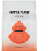 Story Coffee Roasters COFFEE PLANT - kawa ziarnista Gwatemala San Marcos Filtr 250 g