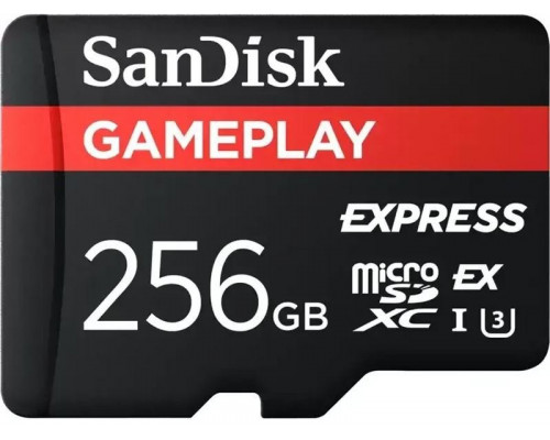 SD  SanDisk GamePlay MicroSDXC 256 GB Class 10 UHS-I/U3 V30 (SDSQXFN-256G-GN6GN)
