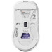 MOUSE USB OPTICAL WRL X2H/MEDIUM WHITE PX2HES22 PULSAR PX2HES22 (8809773555777)