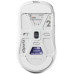 MOUSE USB OPTICAL WRL X2H/MEDIUM WHITE PX2HES22 PULSAR PX2HES22 (8809773555777)